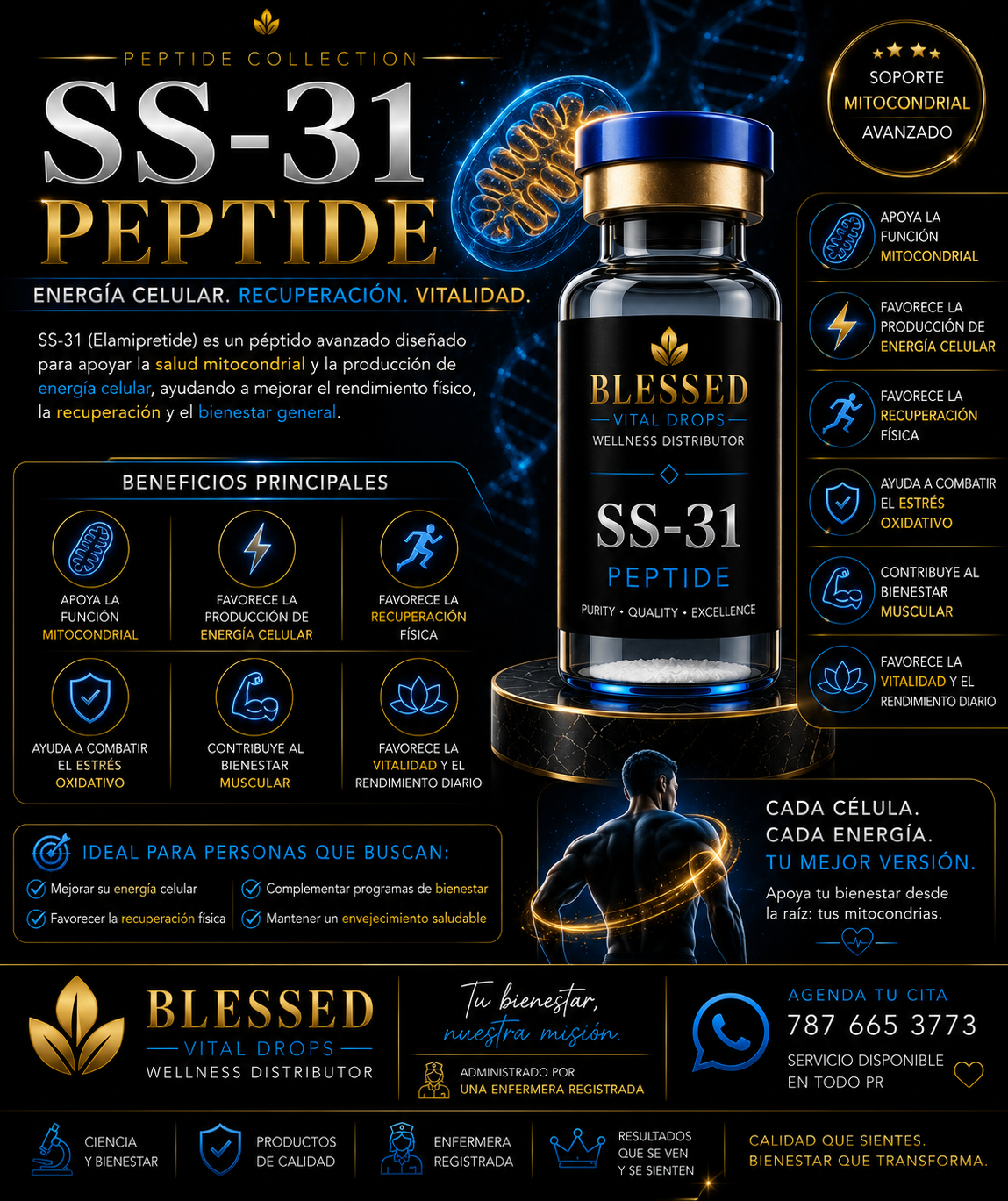 SS-31